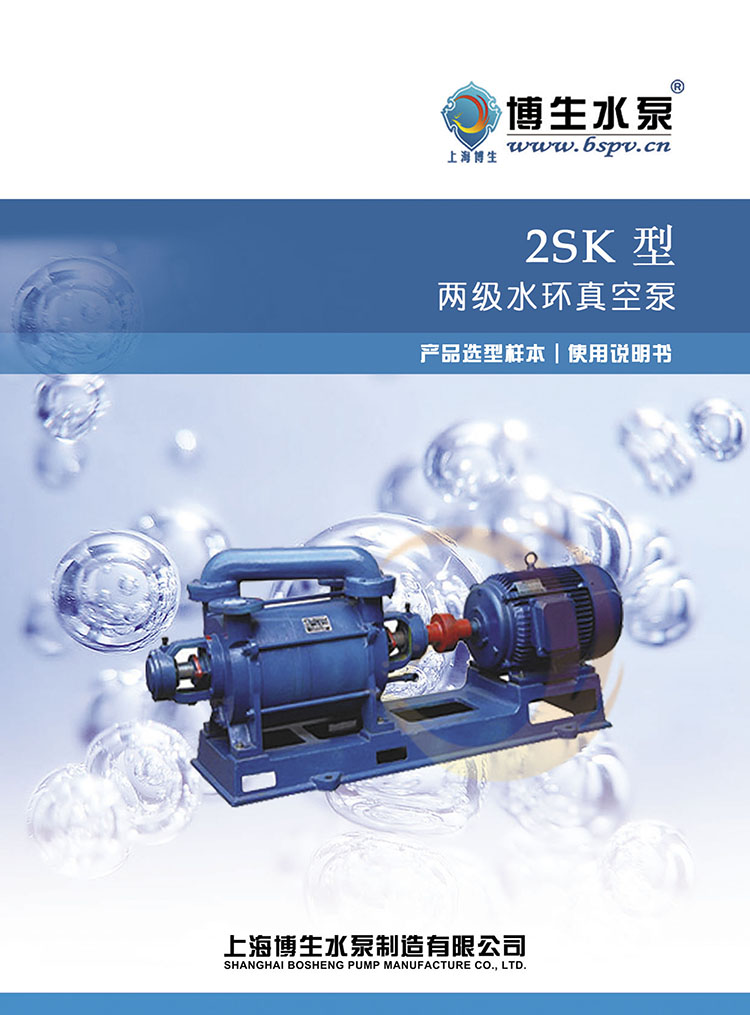 BS-001.jpg